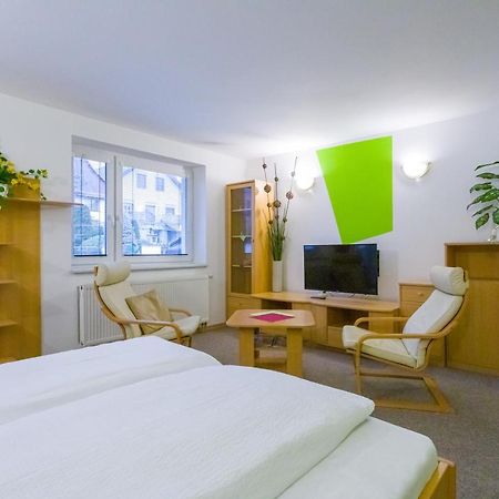 Pension Kraus Litomyšl Extérieur photo