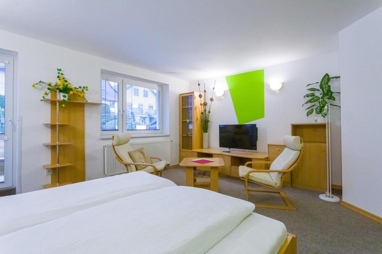 Pension Kraus Litomyšl Extérieur photo